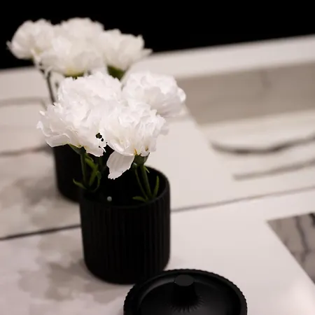 Native Kosciuszki 39/22